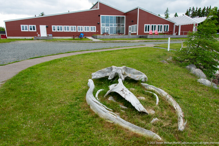 Large weathered whale bones arranged on grass outside the red visitor centre.