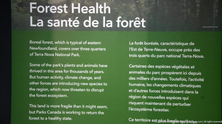 Bilingual 'Forest Health' panel explaining Terra Nova's boreal forest and ecological pressures.
