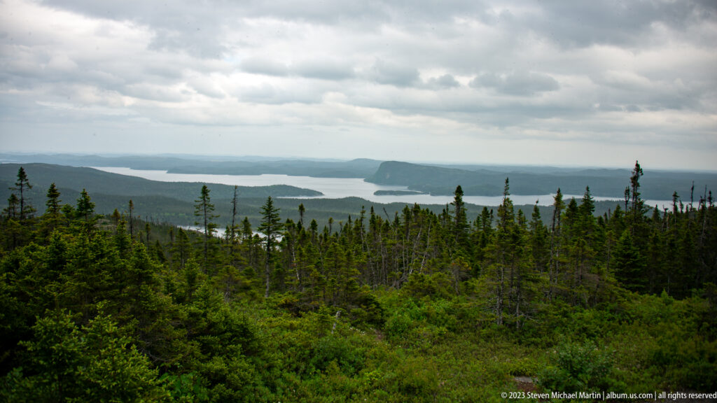 Elevated panorama over conifer forest to sheltered bays, islands, and a flat-topped headland under gray clouds.