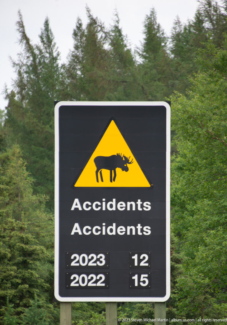 Black roadside sign with yellow wildlife symbol and accident totals for 2023 and 2022.