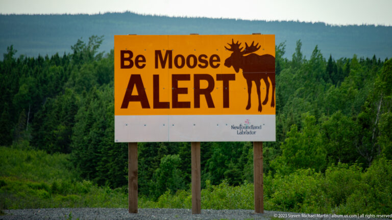 Orange Be Moose Alert sign with black bull-moose silhouette beside dense green forest.