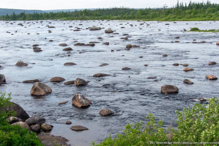 Shallow flowing river crowded with rounded exposed boulders and bordered by low green shrubs.