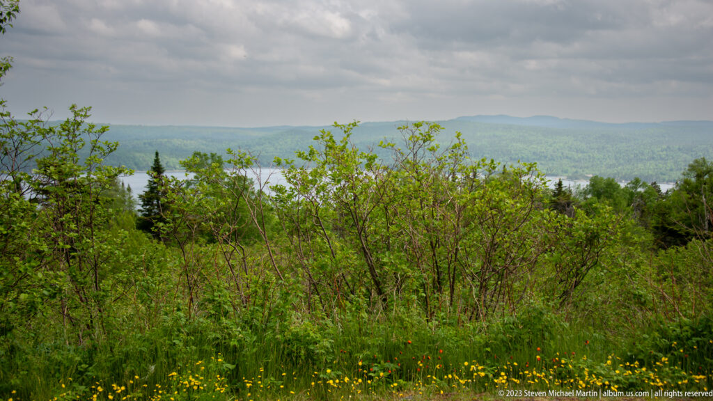 Elevated view over dense boreal forest toward distant ridges and small patches of water beneath clouds.