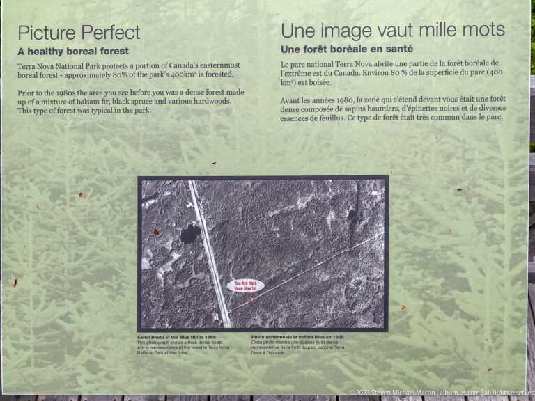 Bilingual forest ecology panel with an aerial photograph comparing landscape change over time.