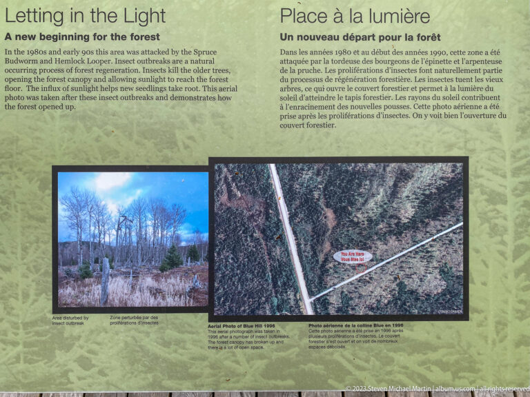 Bilingual Let There Be Light panel with ground-level and aerial photographs of openings in boreal forest.