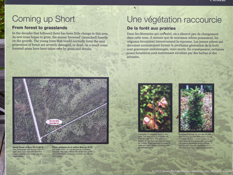 Bilingual ecology panel with an aerial forest image and close photographs of flowering and regenerating plants.