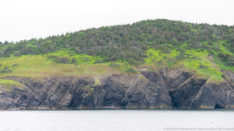 Dark rocky sea cliff topped with low green vegetation and conifers above calm gray water.