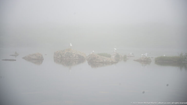 Several gulls perched on scattered rocks in calm water, nearly disappearing into dense gray fog.