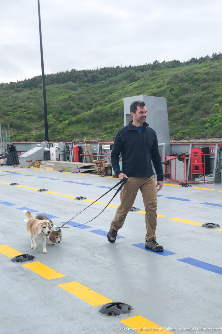 Man walking two small dogs on leashes across a ferry vehicle deck marked with yellow and blue lines.