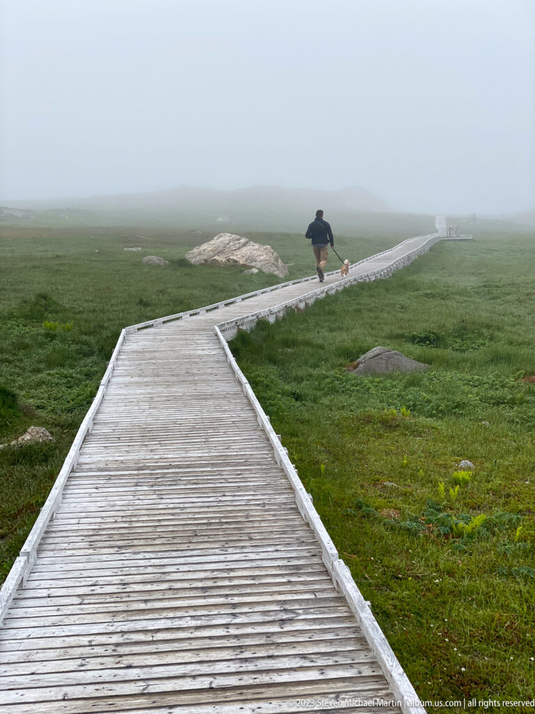 Wooden boardwalk curving through low green coastal vegetation in heavy fog, with one person walking ahead.