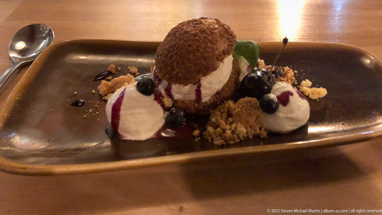 Round cocoa-colored dessert with pale filling, cream dollops, blueberries, berry sauce, crumbs, and a green leaf.