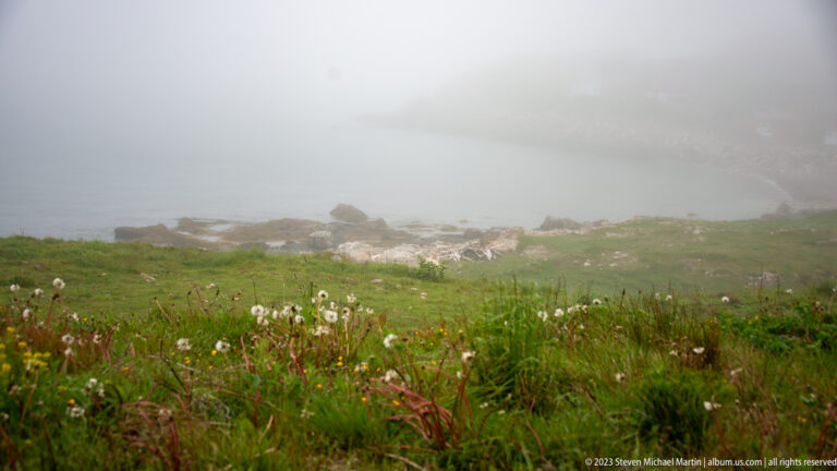 Green wildflower meadow descending toward a rocky coast obscured by dense fog.