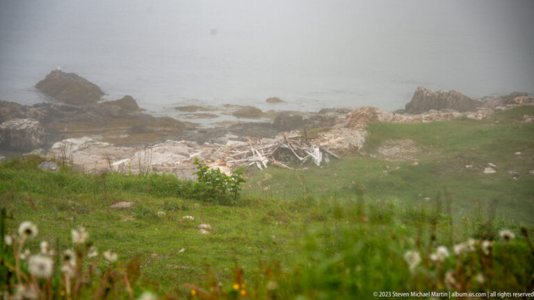 Weathered driftwood scattered among pale rocks and green grass on a foggy shoreline.