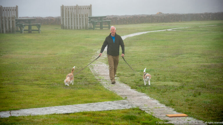Man walking two small dogs on leashes along a narrow boardwalk across a foggy grassy area.