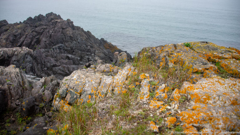 Pale fractured coastal rocks covered with bright orange lichen and sparse grass above calm gray sea.