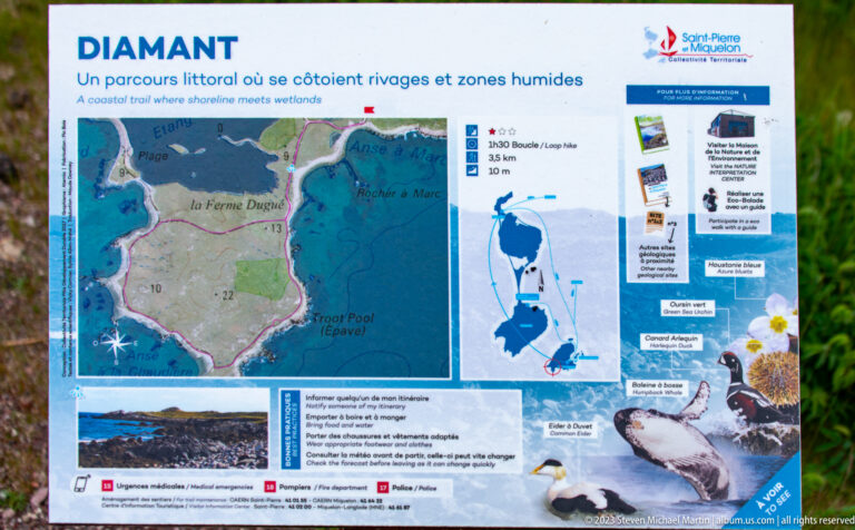 French interpretive panel with wetland map, bird and plant photographs, and Saint-Pierre & Miquelon logo.