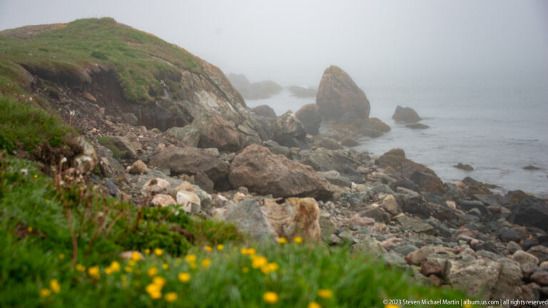 Rocky coast with foreground wildflowers, large boulders, and a pointed offshore sea stack fading into fog.