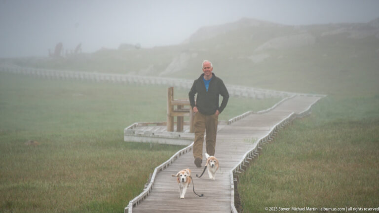 Man standing with two beagles on a winding wooden boardwalk in dense fog over low coastal vegetation.