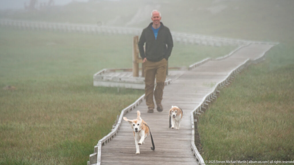 Two beagles walk ahead of a man on a narrow boardwalk disappearing into foggy coastal vegetation.