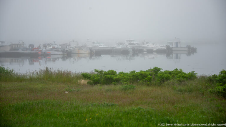 Small boats moored across calm harbor water in thick fog, seen beyond a grassy shoreline.