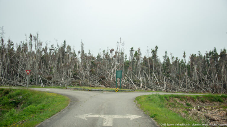 Paved road junction bordered by dense stands of broken, leaning, and dead trees beneath an overcast sky.