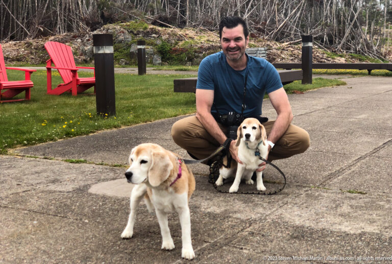 Visitor crouches with two leashed beagles on a paved path near red Adirondack chairs and grass.