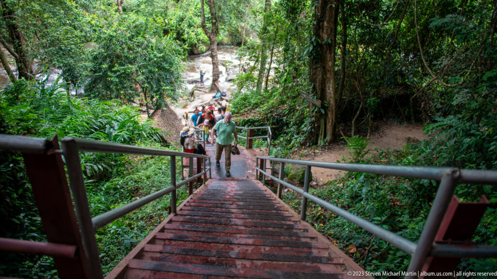 Visitors climb a long steep staircase with railings through dense tropical forest.