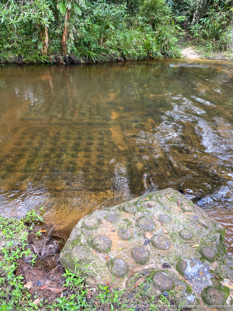 Raised stone slab with rows of circular carvings beside a shallow forest stream.
