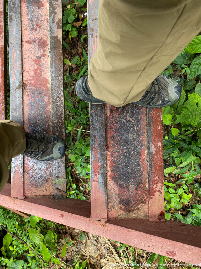 Downward view of hiking boots on weathered metal stairs above vegetation.