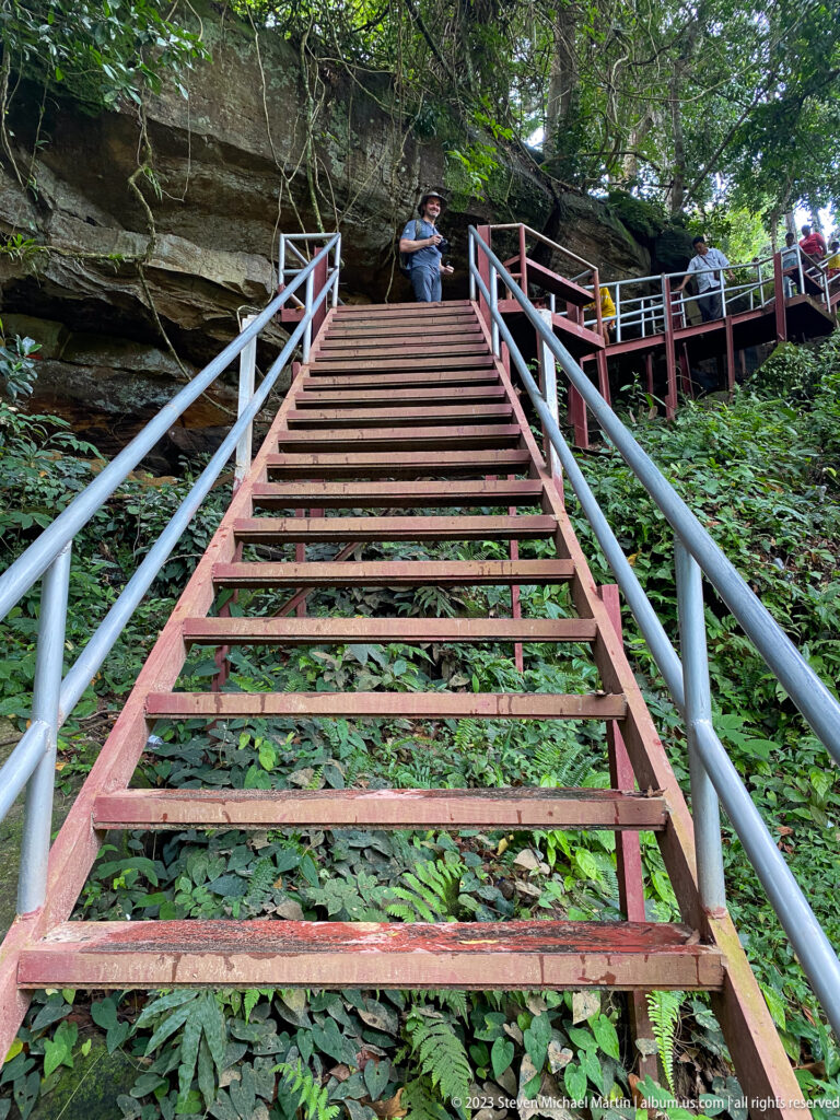 Steep metal staircase ascending through dense tropical forest.