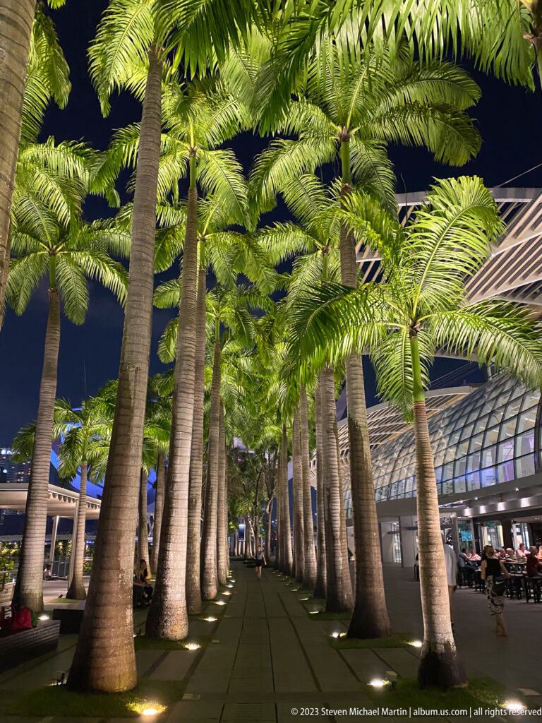 Symmetrical nighttime walkway lined with illuminated palm trees beside modern waterfront buildings.