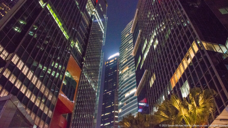 Upward nighttime view between tall office buildings with palm fronds at the base.
