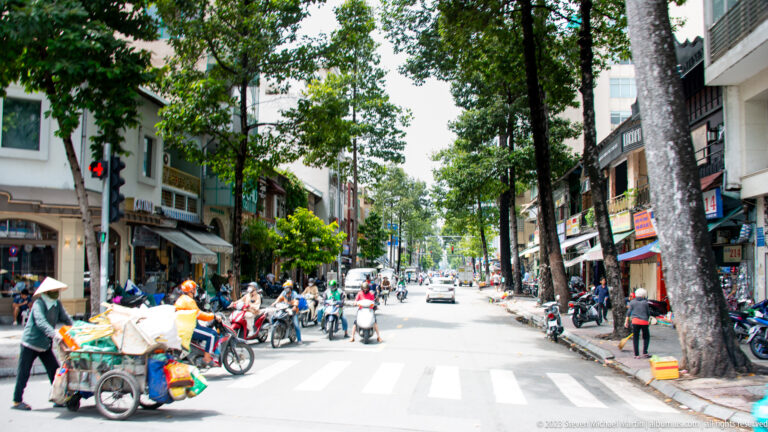 Tree-lined commercial street with shops, scooters, vendors, and a person in a conical hat.