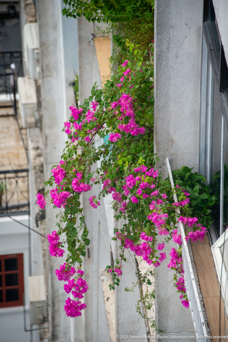 Bright pink bougainvillea drapes across a balcony and weathered concrete residential wall.