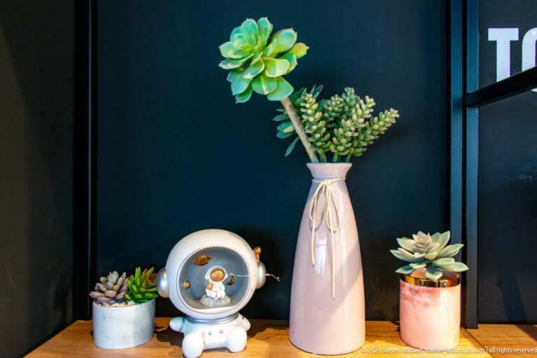 Potted succulents, pale ceramic vase, and small astronaut figurine arranged on a wooden shelf.