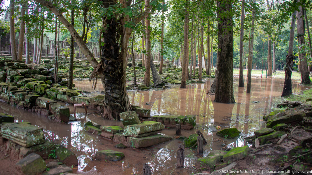 Flooded forest with square stone pedestals around tree trunks at Angkor Thom.