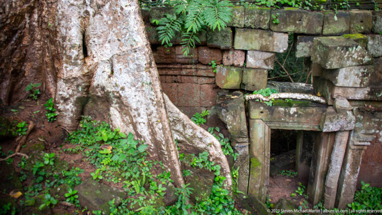 Tree trunk pressing against a low brick chamber opening at Angkor Thom.