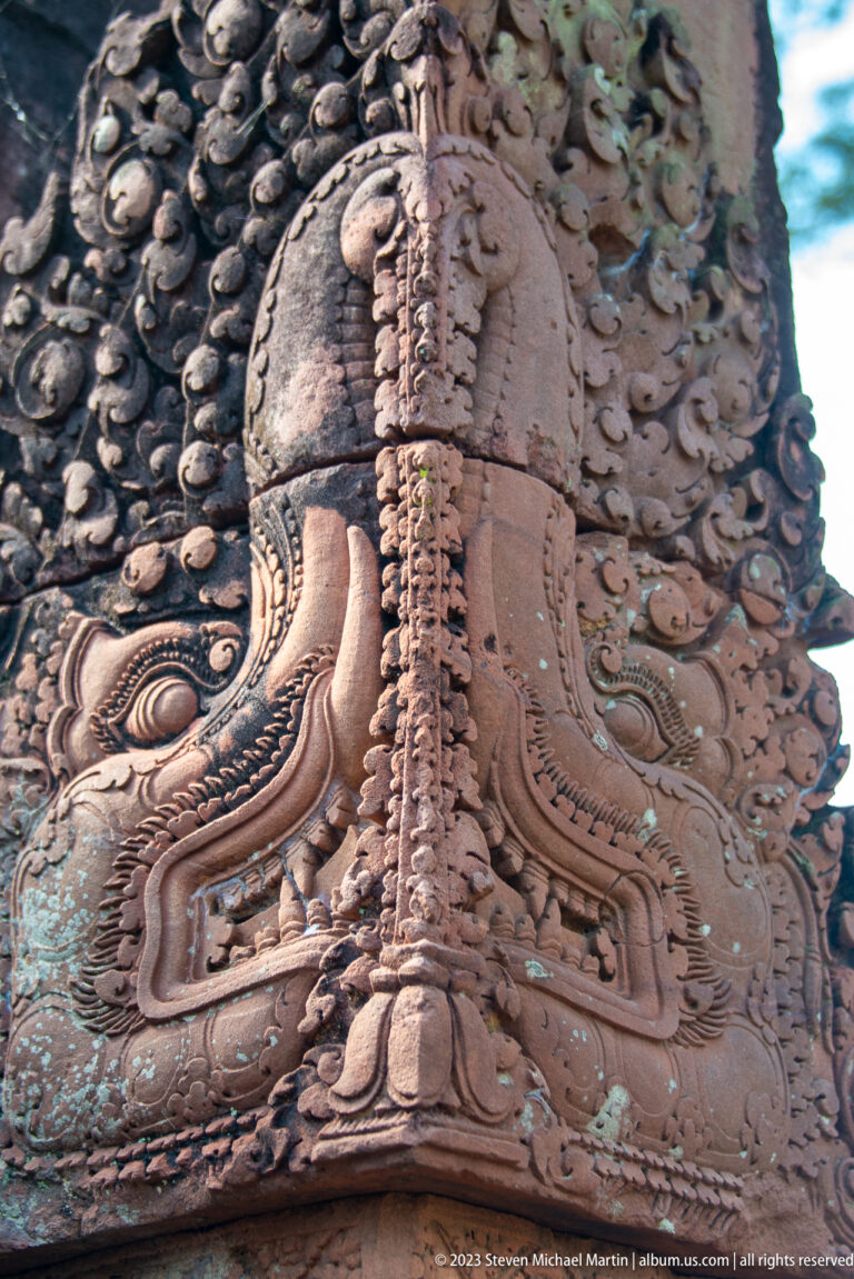Extreme close-up of a stylized carved creature with a large eye, curved snout, and layered feather-like forms.