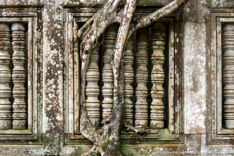 Tree roots cross a recessed sandstone window filled with closely spaced turned stone balusters.