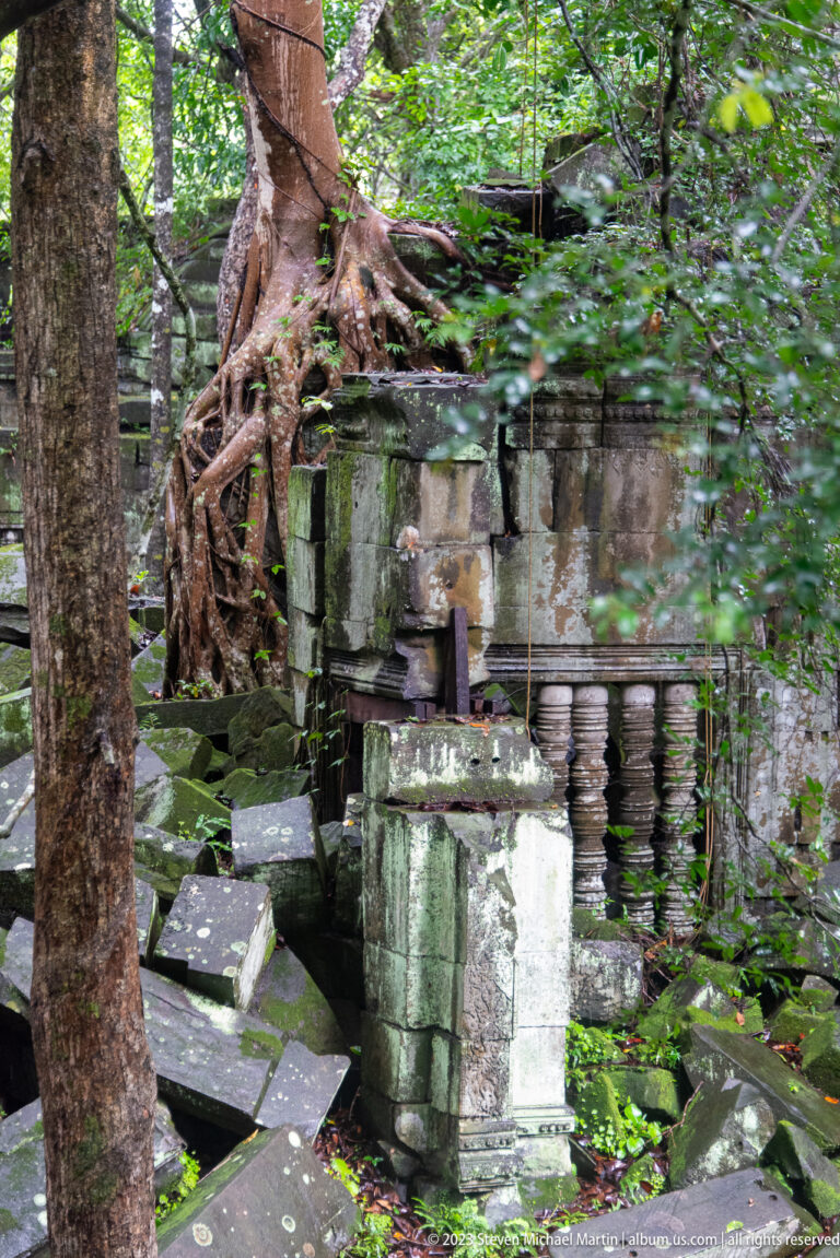 Ruined sandstone gallery with a balustered window, fallen blocks, tree trunks, and exposed roots.
