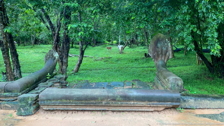 Broken sandstone naga balustrade with upright serpent finials in a grassy forest clearing.
