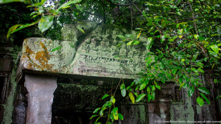 Carved sandstone lintel with curling foliage above a shadowed doorway partly covered by leaves.