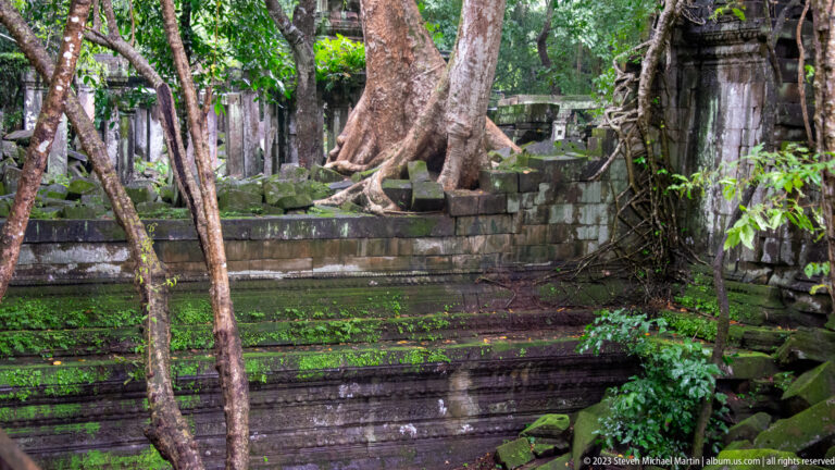 Still water beside mossy stepped sandstone terraces and large trees within the temple ruins.