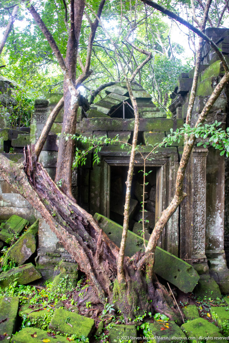 Low sandstone chamber entrance partly blocked by a fallen tree and dense green vegetation.