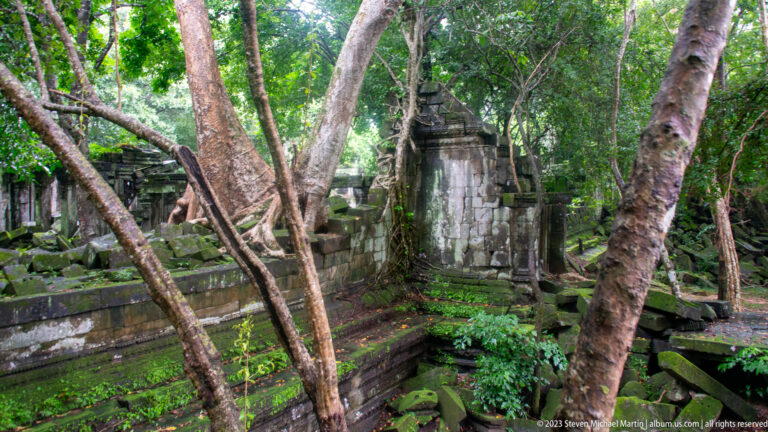 Narrow ruined passage between sandstone walls filled with tree trunks, roots, and fallen blocks.
