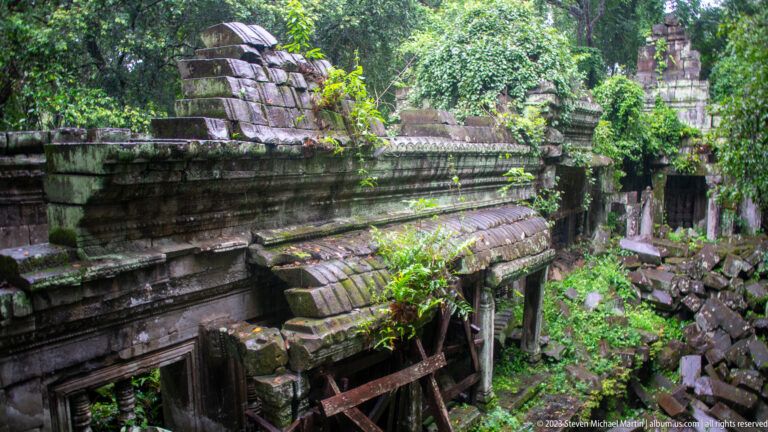 Partly intact sandstone gallery roof with layered moldings, vegetation, rubble, and timber bracing.