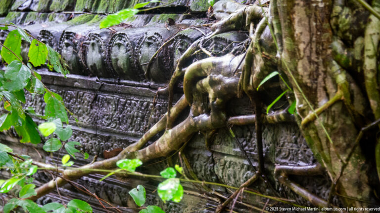 Thick tree roots gripping a carved sandstone cornice beside a weathered temple wall.