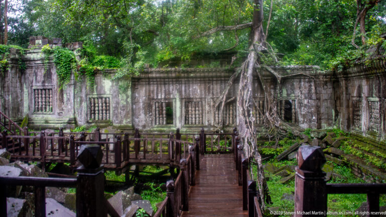 Wooden walkway leading toward a balustered gallery wall overtaken by a large tree and roots.