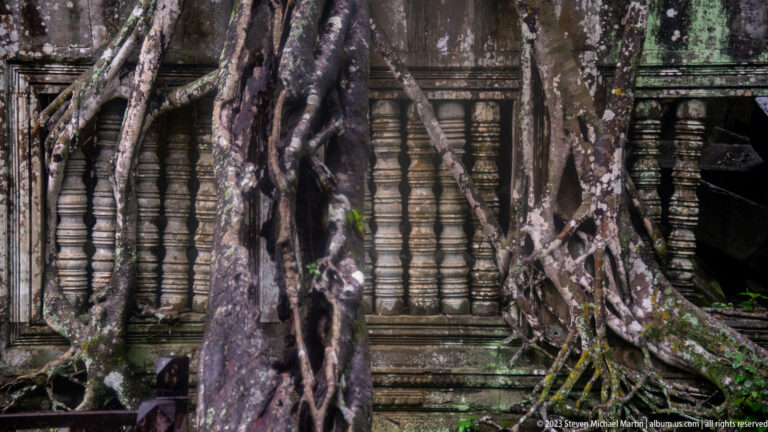 Massive intertwined roots covering sandstone baluster windows on a temple gallery wall.