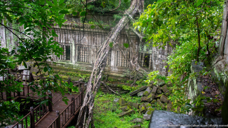 Leaf-framed view of a rooted balustered gallery wall above a wooden walkway and rubble.